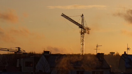 Grue au coucher de soleil