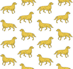 Vector seamless pattern of colored hand drawn doodle sketch retriever dog isolated on white background