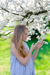 Pretty little girl in blooming apple tree garden on beautiful spring day