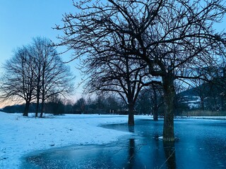 Winterlandschaft, Bäume stehen auf überschwemmtem Areal, das Wasser ist halb zugefroren. Um den See verschneite Landschaft im Hintergrund Hügel .Am dunkelblauen Horizont geht die Sonne unter