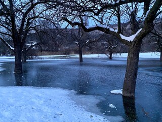 Dunkle mit Schnee bedeckte Bäume, stehen im Wasser, drumherum  Eis und Schnee