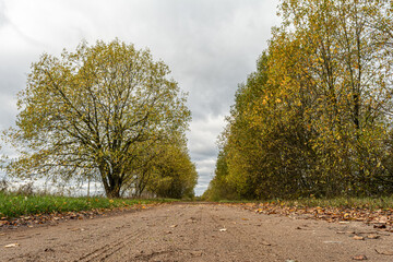 Beautiful Fall scene on curved unpaved road with colorful leaves on trees and in the road