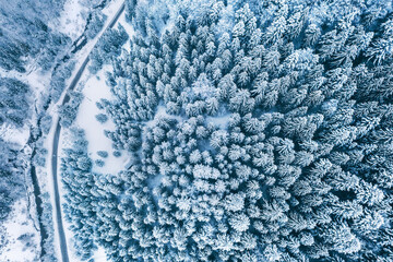 Aerial top view drone shot of the pine and spruce trees forest covered with snow in the Tatra Mountains in Slovakia with a countryside rural road. Transportation and ecology concept image.