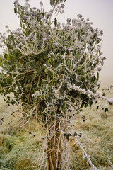 Paysage campagne 830