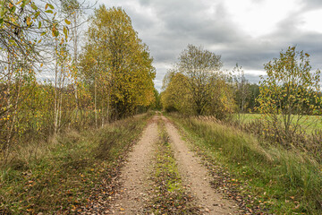 Old abandoned sandy road in the autumn forest. On the side of the road there is dry grass and trees with yellow orange foliage. Cloudy autumn day