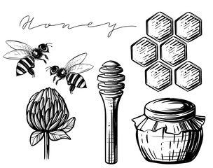 Honey set, hand drawn monochrome vector
