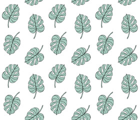 Vector seamless pattern of mint colored hand drawn doodle sketch monstera leaf isolated on white background