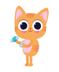 cute kitty with one soap bar