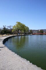 Fototapeta premium river in the city