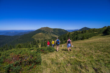 Fototapeta premium Vacation activity Take a Hike Day