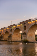 Fototapeta premium Badajoz Palmas bridge at sunset with ducks on Guadiana river, in Spain