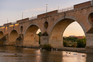 Fototapeta premium Badajoz Palmas bridge at sunset with ducks on Guadiana river, in Spain