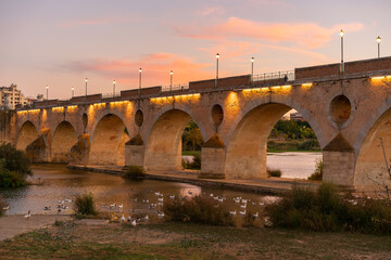 Fototapeta premium Badajoz Palmas bridge at sunset with ducks on Guadiana river, in Spain