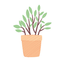 house plant in yellow ceramic pot nature spring season icon vector illustration design