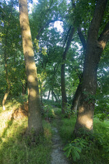 Danube river on the beautiful sunny day