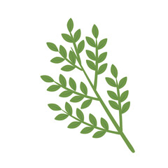 branches and leafs plant nature icon vector illustration design