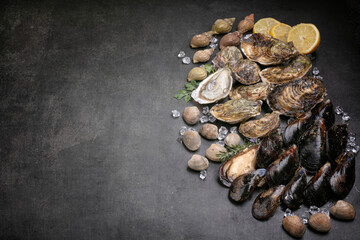 Shell, mussel, oyster, clam, sea snail with space for writing