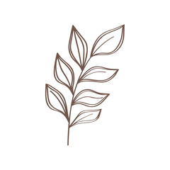 leafs plant hand drawn style icon vector illustration design