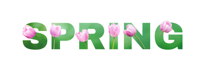 Spring lettering isolated on white background