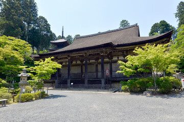 Fototapeta premium 常楽寺 本堂と三重塔 滋賀県湖南市