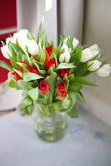 White Red White Tulips Flowers