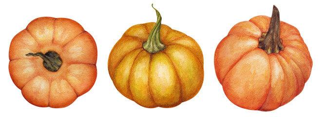 Watercolor Pumpkin clipart, Halloween, Autumn set, fall clipart