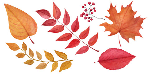 Watercolor Autumn clipart set. Autumn red leafs. Autumn yellow leafs.