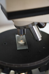 Microscopy Laboratory