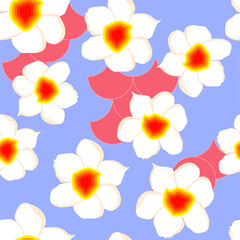Spring pattern