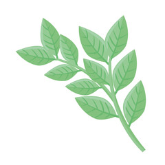 branches with leafs plant spring season vector illustration design
