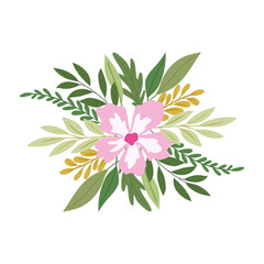 sunflower with a pink color over a white background