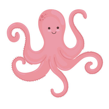 octopus wild animal sealife icon vector illustration design