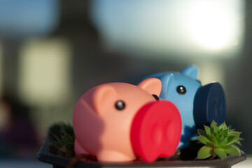Piggy banks.- The concept of saving for the period after the corona virus pandemic