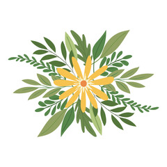 flower with a yellow color over a white background