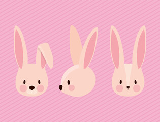 set of cutes pink rabbits
