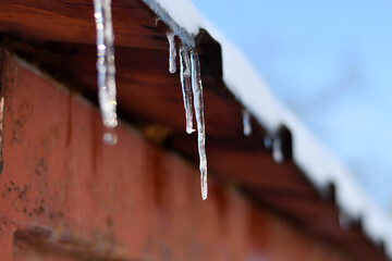 Icicles with drops of water melting at the sunlight. selective focus.