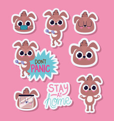 bundle of cute puppys stickers on a pink background
