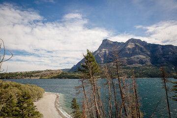 Mountain lake shore in Waterton Lakes National Park