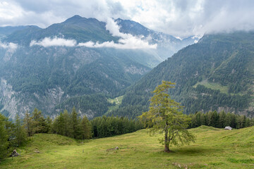 Fototapeta na wymiar landscape in the mountains, Alps, Großglockner