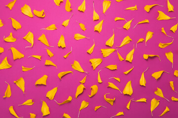 Marigold petals on pin background