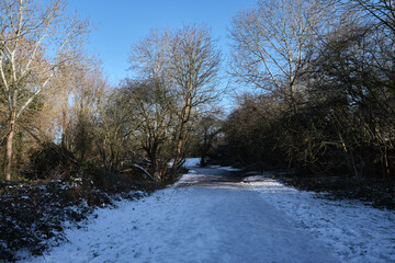 View of a snow covered walking path surrounded by trees on a sunny winter day.