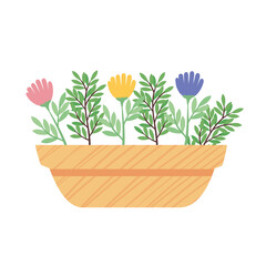 colors flowers plant in yellow ceramic pot spring season icon vector illustration design