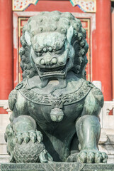 China, Beijing. Forbidden City's lion guardian.