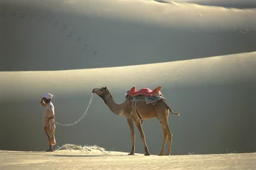 Thar-Wüste, Rajasthan, Indien © Danita Delimont