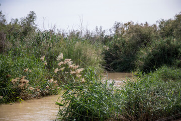 Palestinian Territory, West Bank. Jordan Rift Valley, Jordan River.