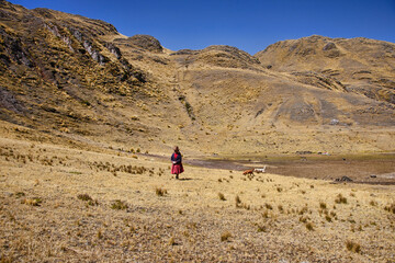 Quechua woman, Sacred Valley, Peru