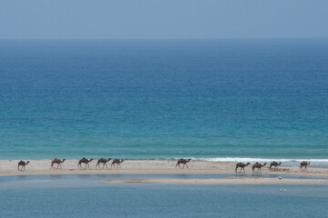 Oman, Dhofar region, near Salalah, Khor Rori. Beach view of the Arabian Sea from historic Sumhuram,...