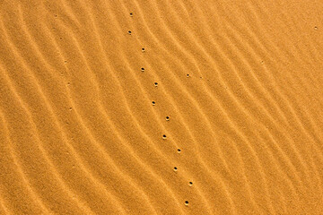 Sand patterns of the Singing Dunes, the only sand dune in Kazakhstan, Altyn-Emel National Park, Kazakhstan