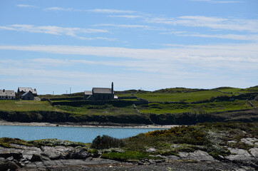 windmill on the river
