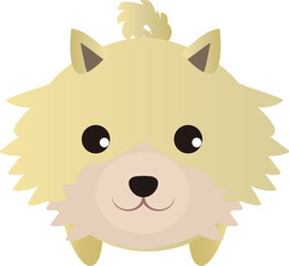 可愛いポメラニアン(正面)